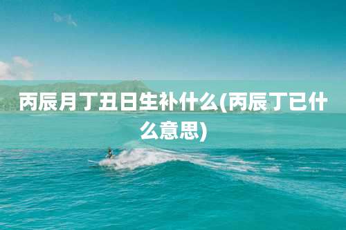 丙辰月丁丑日生补什么(丙辰丁已什么意思)