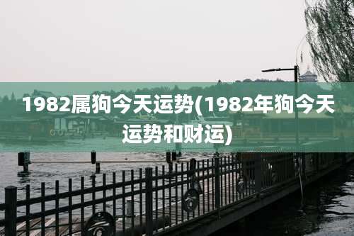 1982属狗今天运势(1982年狗今天运势和财运)