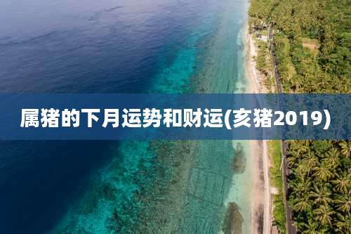 属猪的下月运势和财运(亥猪2019)