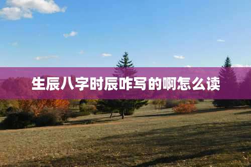 生辰八字时辰咋写的啊怎么读