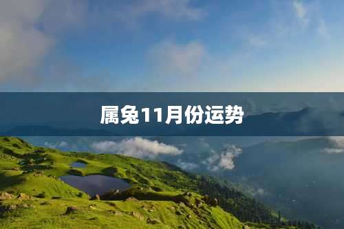 属兔11月份运势