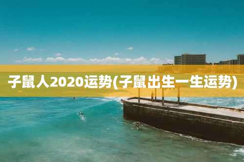 子鼠人2020运势(子鼠出生一生运势)