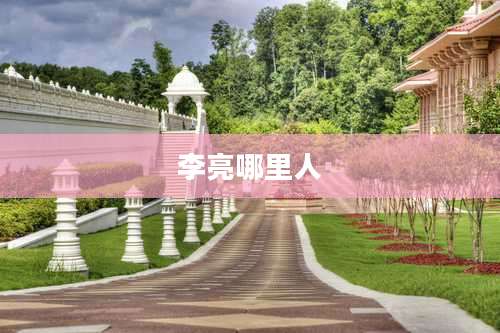 李亮哪里人
