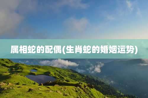 属相蛇的配偶(生肖蛇的婚姻运势)