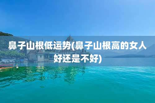 鼻子山根低运势(鼻子山根高的女人好还是不好)