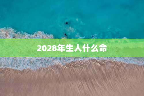 2028年生人什么命