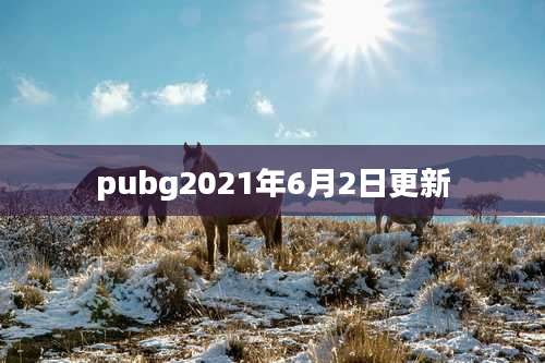 pubg2021年6月2日更新