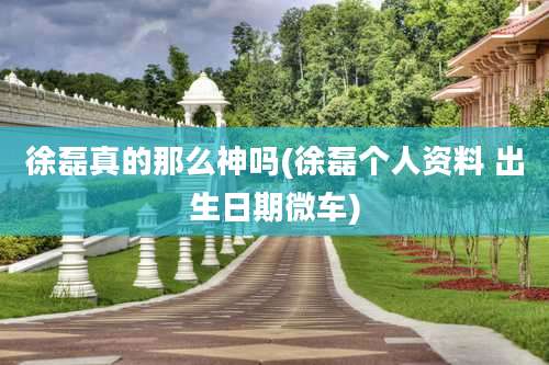 徐磊真的那么神吗(徐磊个人资料 出生日期微车)