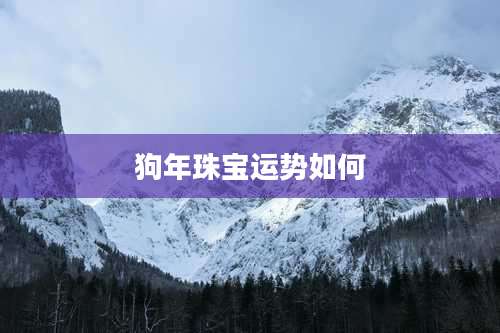 狗年珠宝运势如何