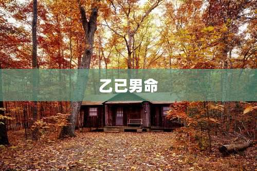 乙已男命