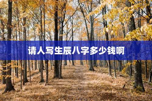 请人写生辰八字多少钱啊
