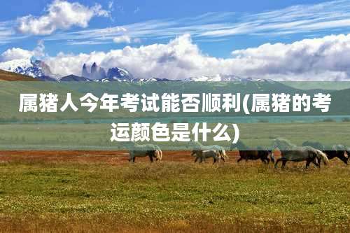 属猪人今年考试能否顺利(属猪的考运颜色是什么)