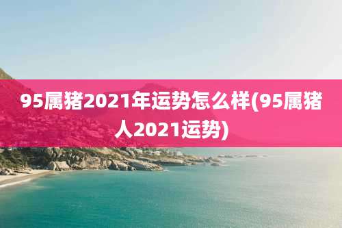 95属猪2021年运势怎么样(95属猪人2021运势)