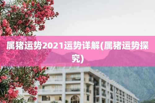 属猪运势2021运势详解(属猪运势探究)