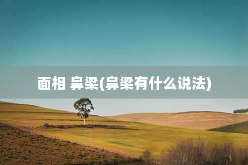 面相 鼻梁(鼻梁有什么说法)