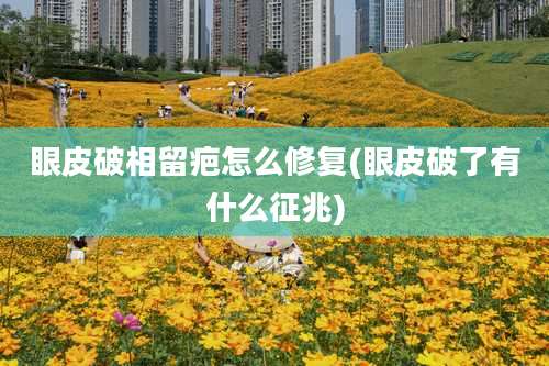 眼皮破相留疤怎么修复(眼皮破了有什么征兆)