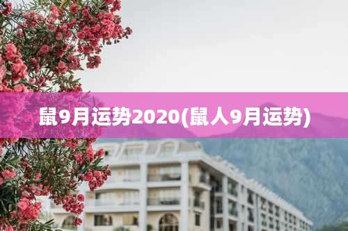 鼠9月运势2020(鼠人9月运势)