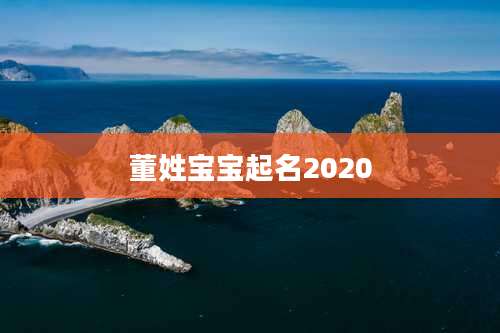 董姓宝宝起名2020