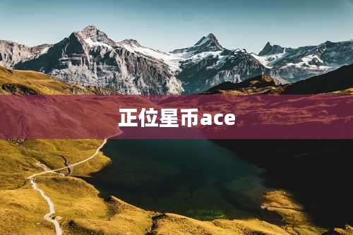正位星币ace