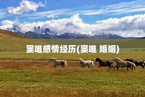 窦唯感情经历(窦唯 婚姻)