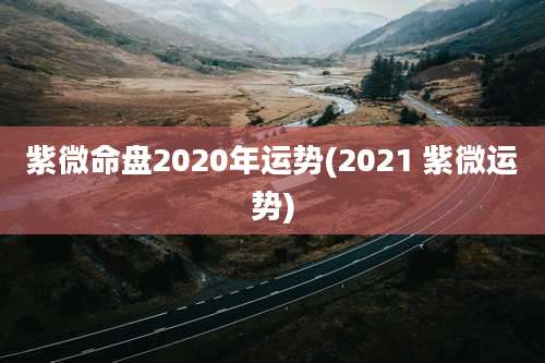 紫微命盘2020年运势(2021 紫微运势)