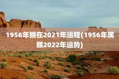 1956年猴在2021年运程(1956年属猴2022年运势)
