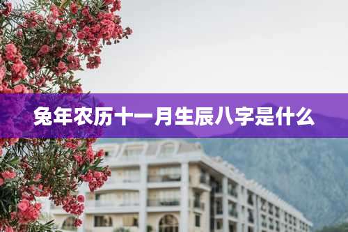 兔年农历十一月生辰八字是什么