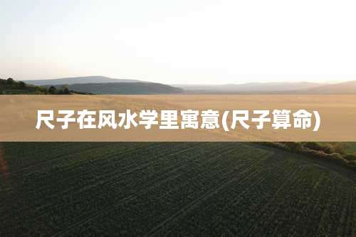 尺子在风水学里寓意(尺子算命)