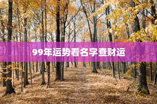 99年运势看名字查财运