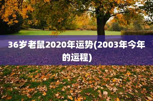 36岁老鼠2020年运势(2003年今年的运程)