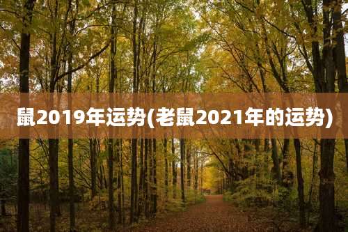 鼠2019年运势(老鼠2021年的运势)