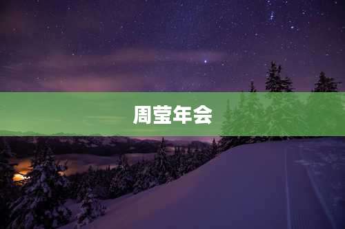 周莹年会