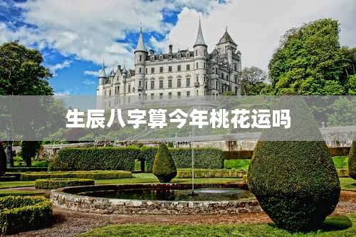 生辰八字算今年桃花运吗