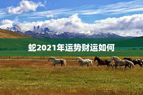 蛇2021年运势财运如何