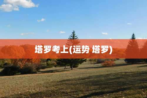 塔罗考上(运势 塔罗)