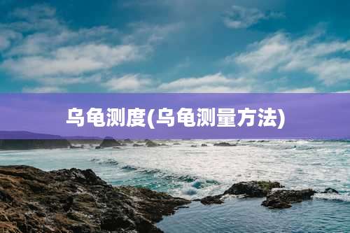 乌龟测度(乌龟测量方法)