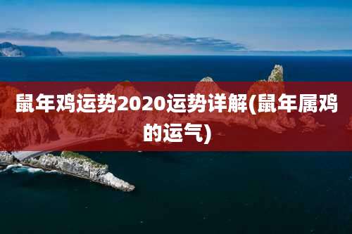 鼠年鸡运势2020运势详解(鼠年属鸡的运气)