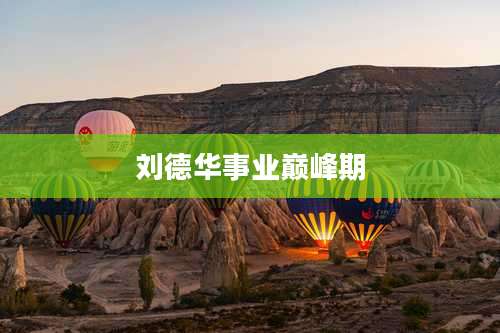 刘德华事业巅峰期