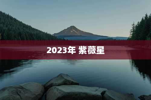 2023年 紫薇星