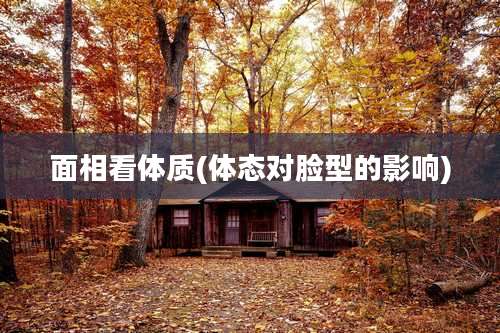 面相看体质(体态对脸型的影响)