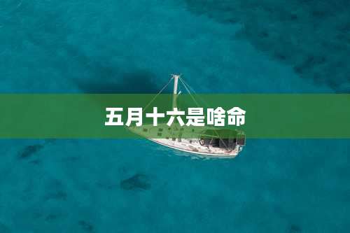 五月十六是啥命