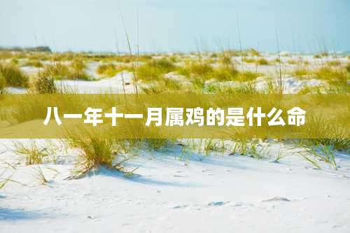 八一年十一月属鸡的是什么命