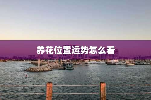 养花位置运势怎么看