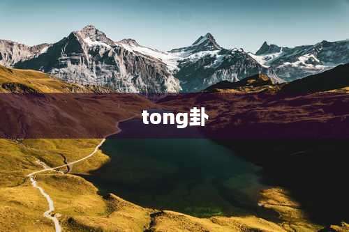 tong卦