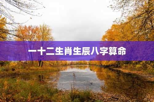 一十二生肖生辰八字算命