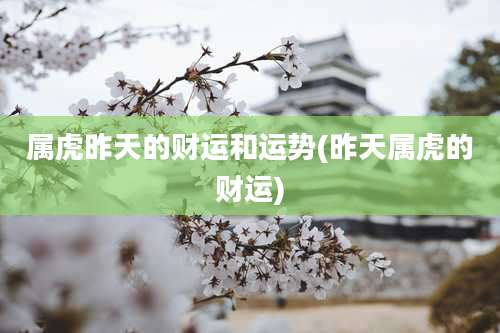 属虎昨天的财运和运势(昨天属虎的财运)