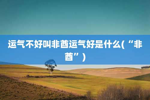运气不好叫非酋运气好是什么(“非酋”)