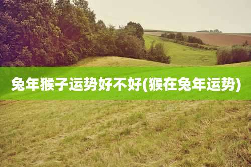 兔年猴子运势好不好(猴在兔年运势)