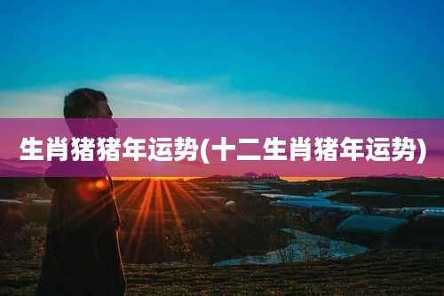 生肖猪猪年运势(十二生肖猪年运势)