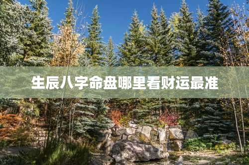 生辰八字命盘哪里看财运最准